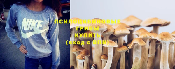 таблы Верхний Тагил
